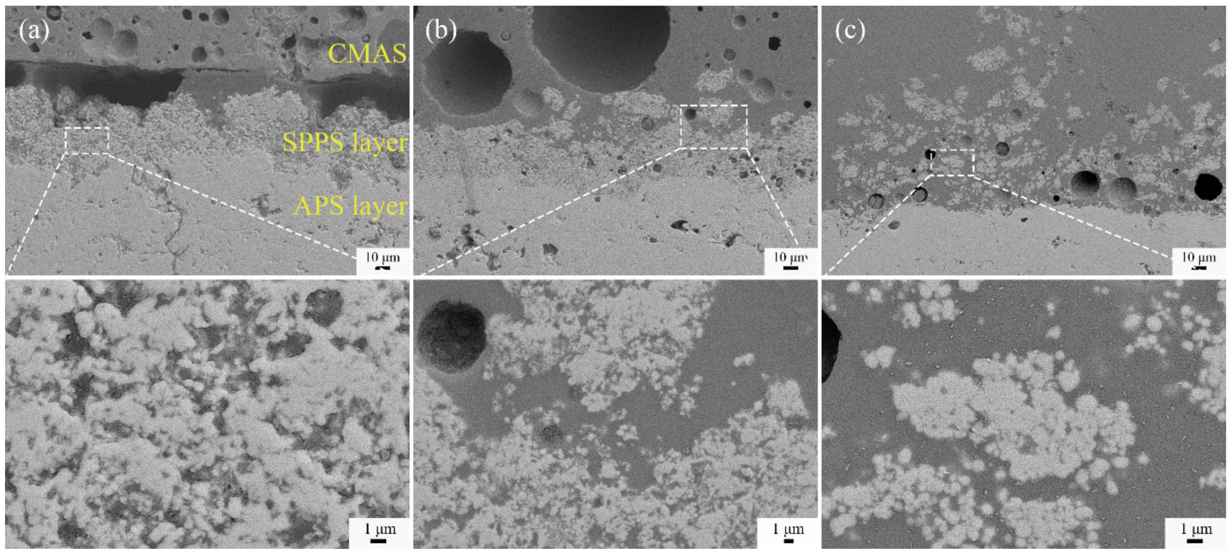 Coatings 12 00648 g008