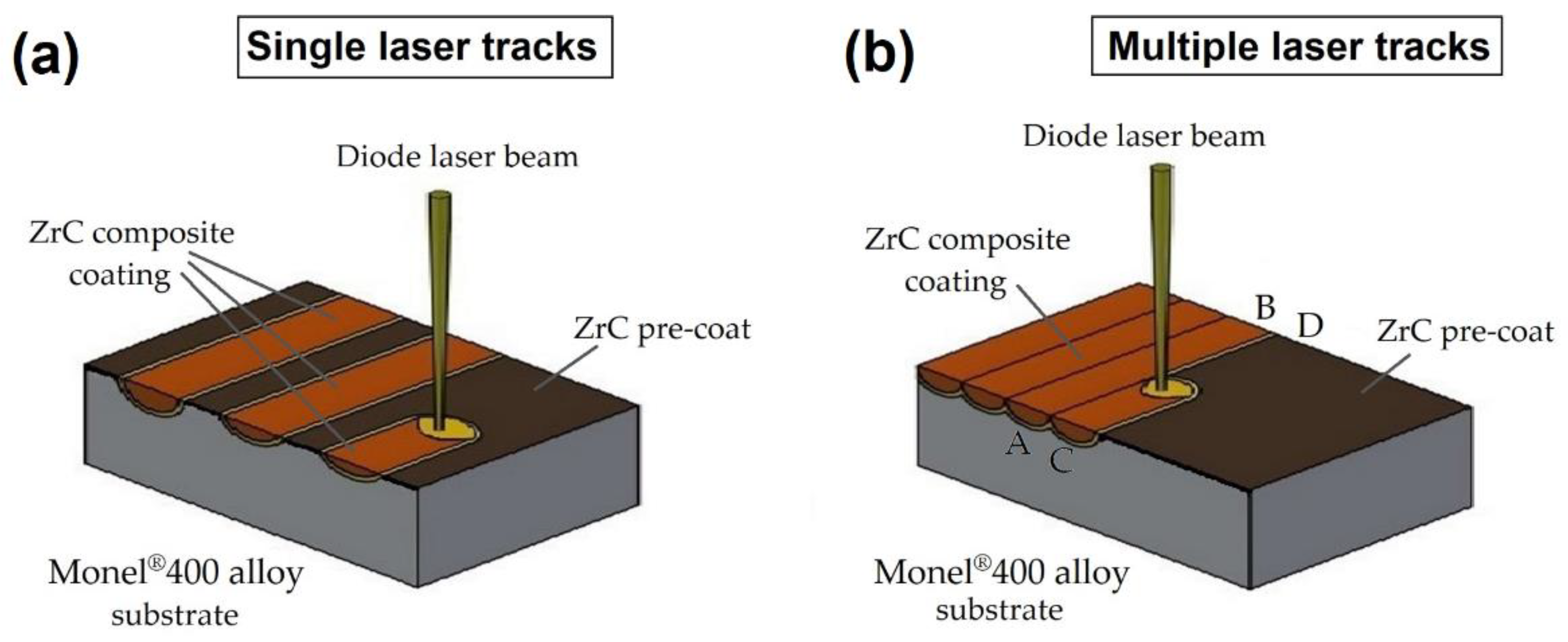 Coatings 12 00651 g003