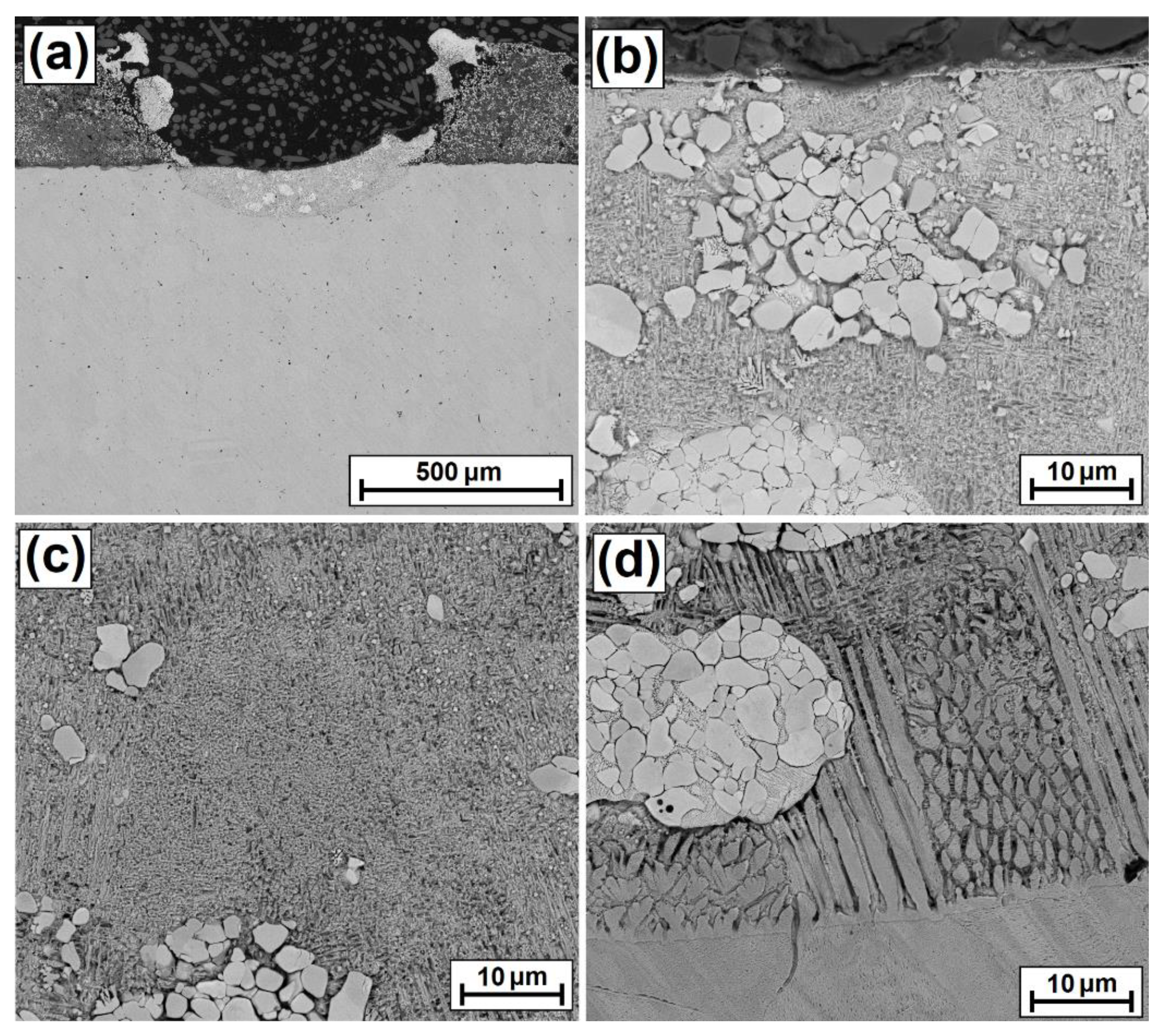 Coatings 12 00651 g004