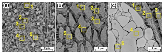 Coatings 12 00651 g005 550
