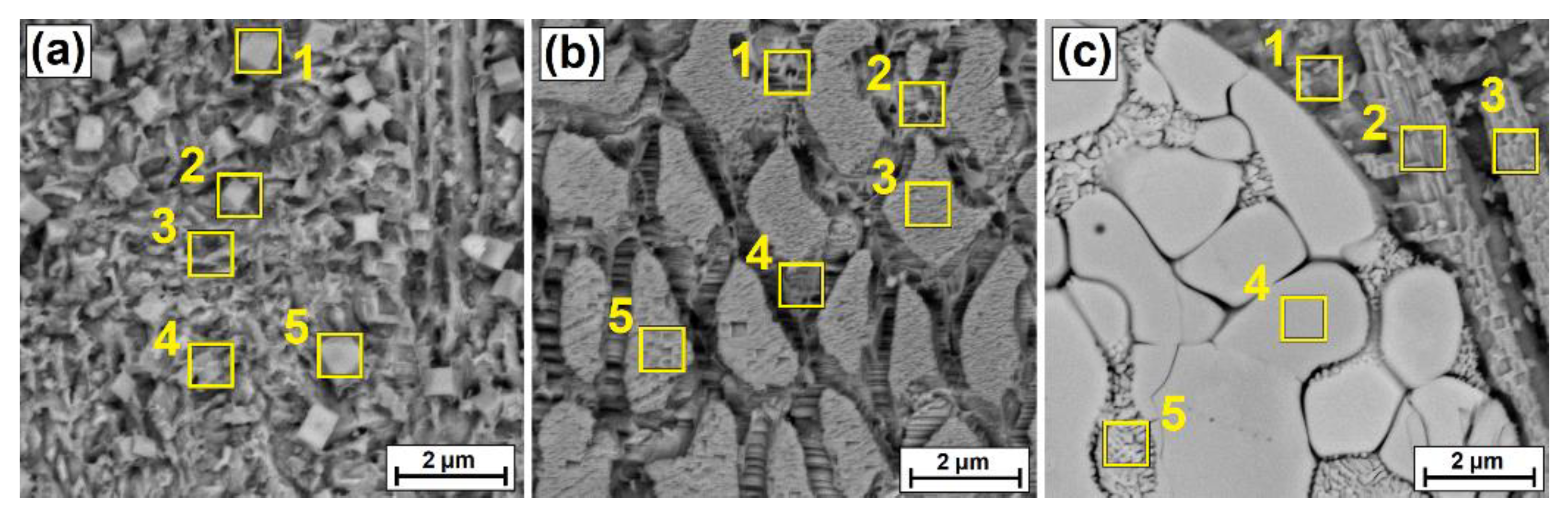 Coatings 12 00651 g005