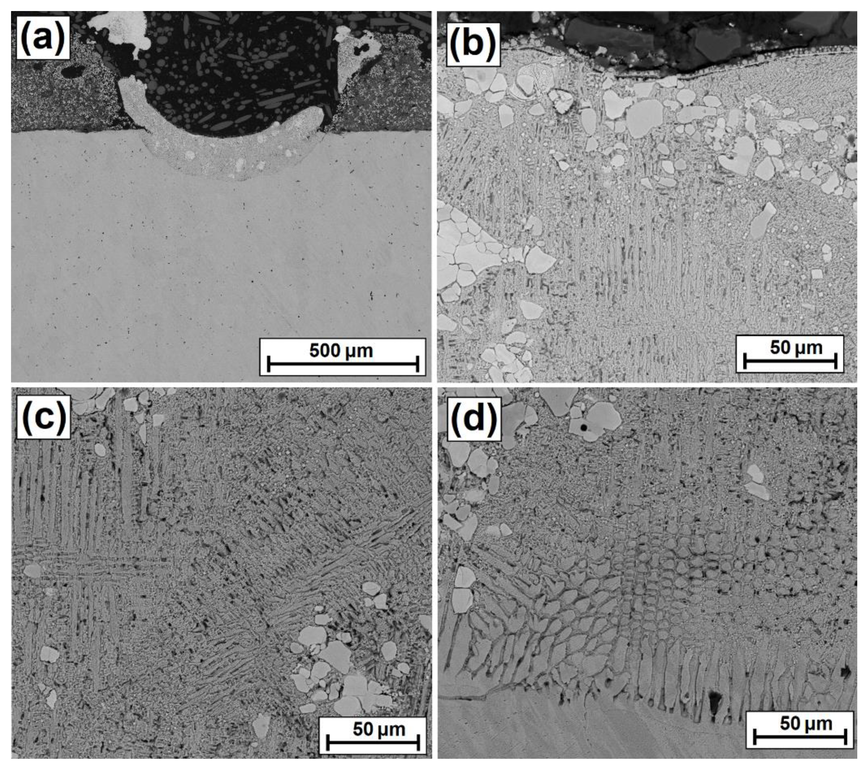 Coatings 12 00651 g006