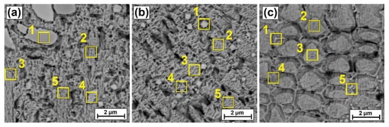 Coatings 12 00651 g007 550