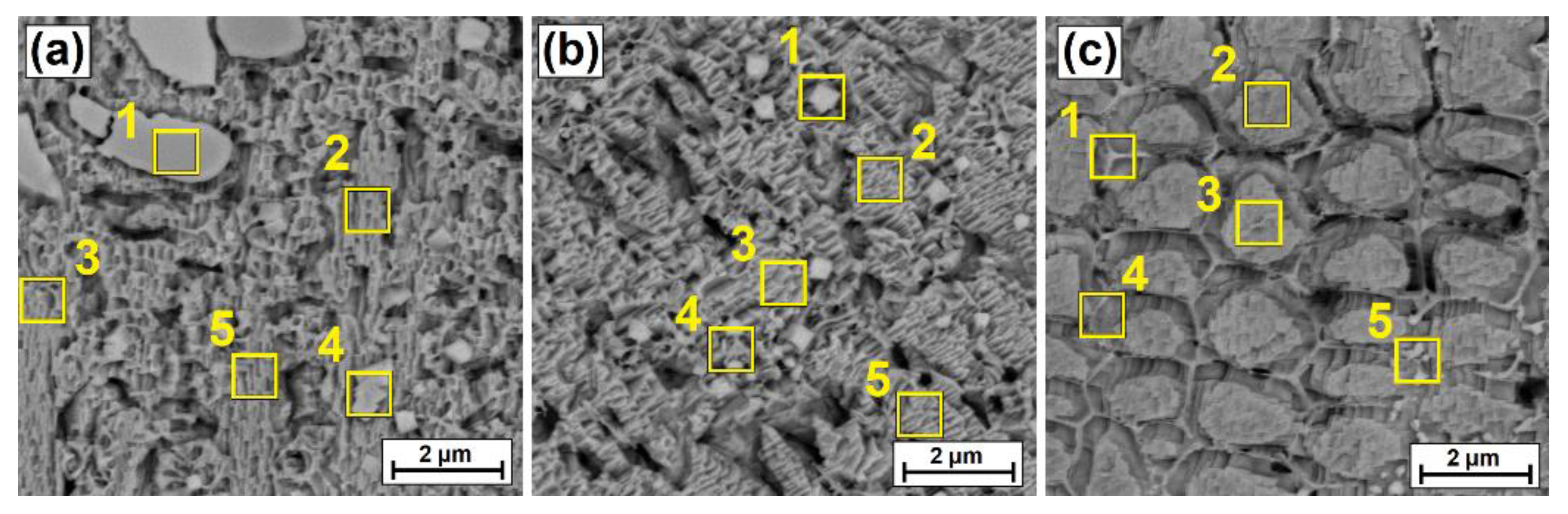 Coatings 12 00651 g007