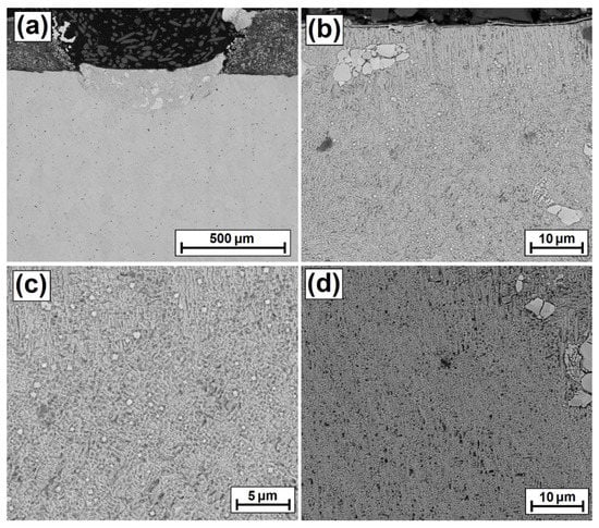 Coatings 12 00651 g008 550