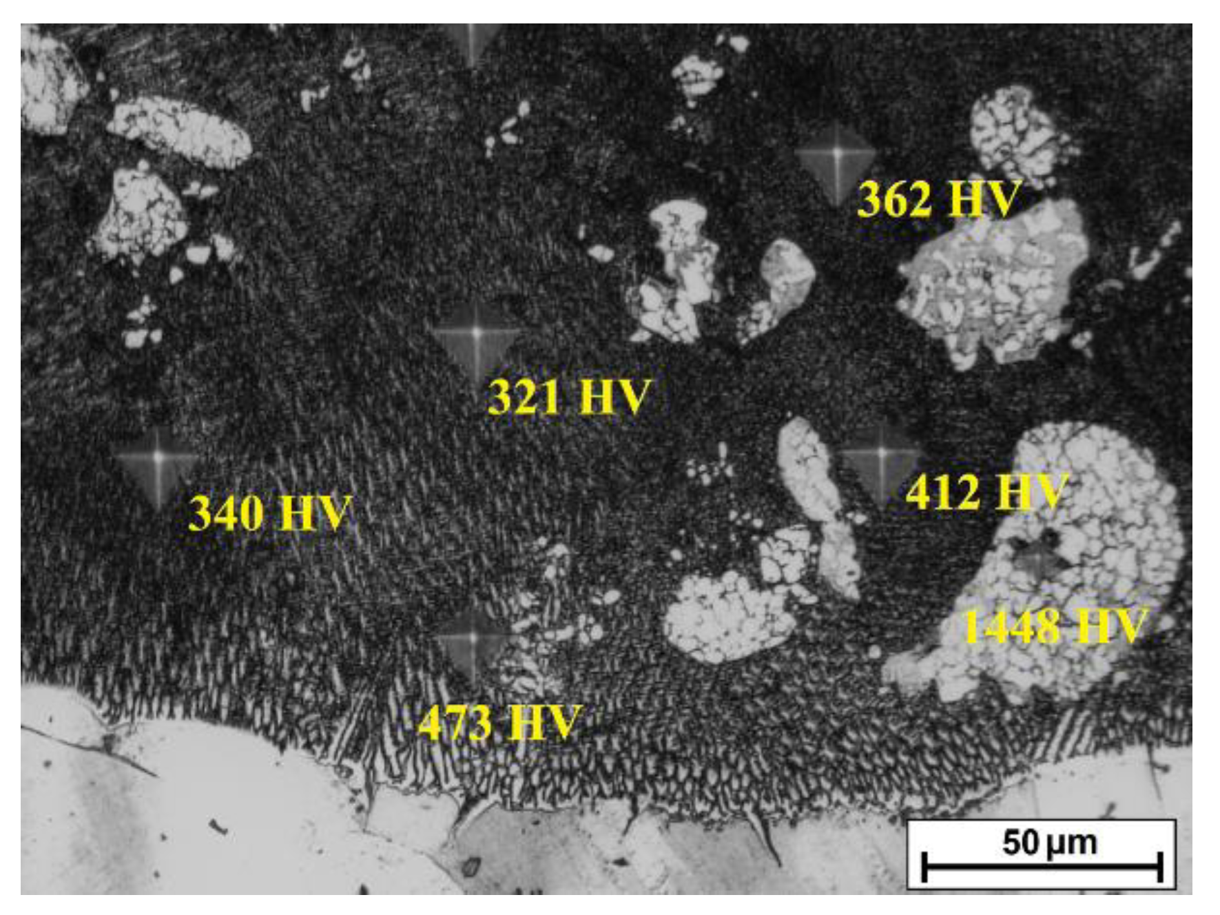 Coatings 12 00651 g013