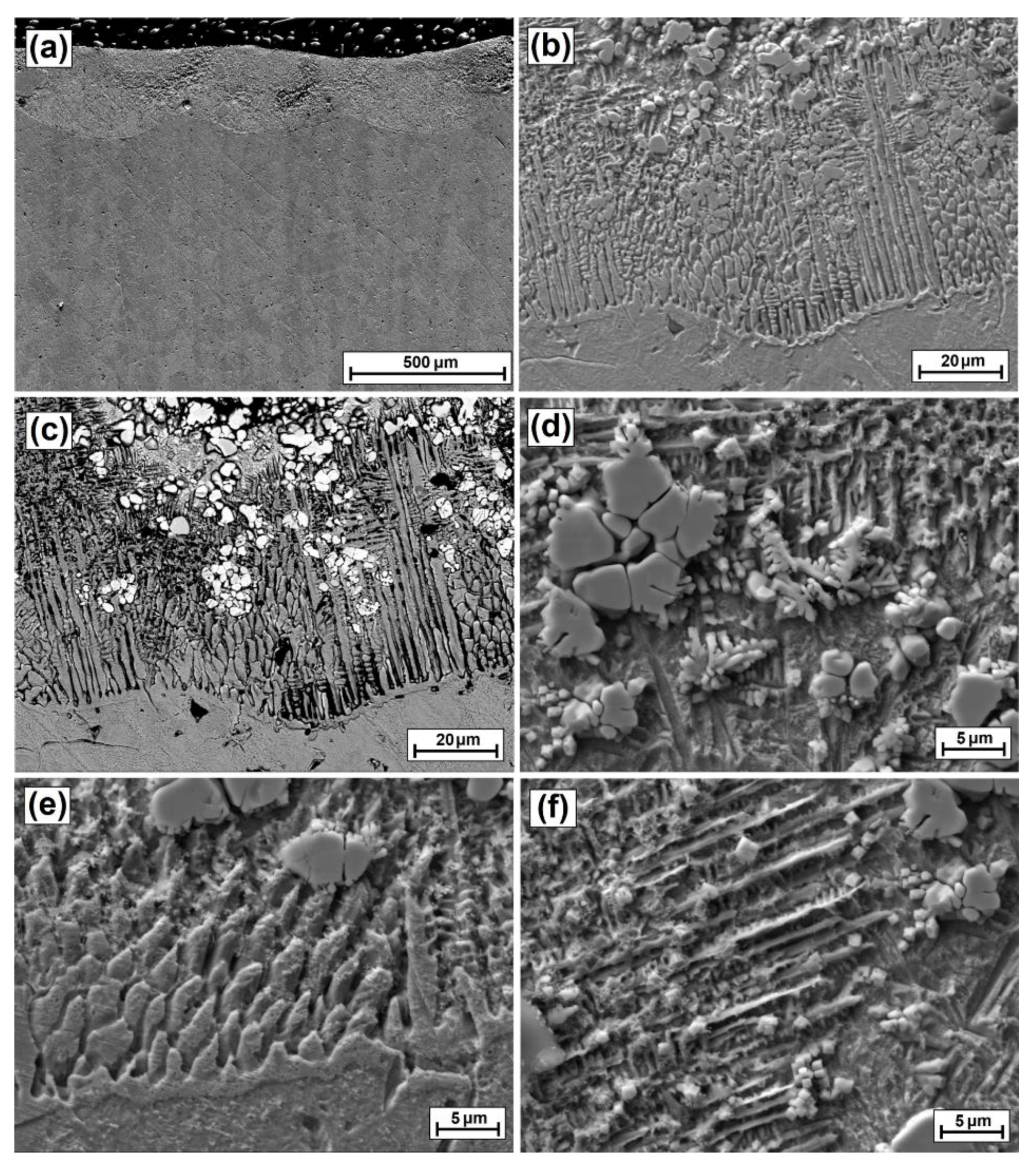 Coatings 12 00651 g014