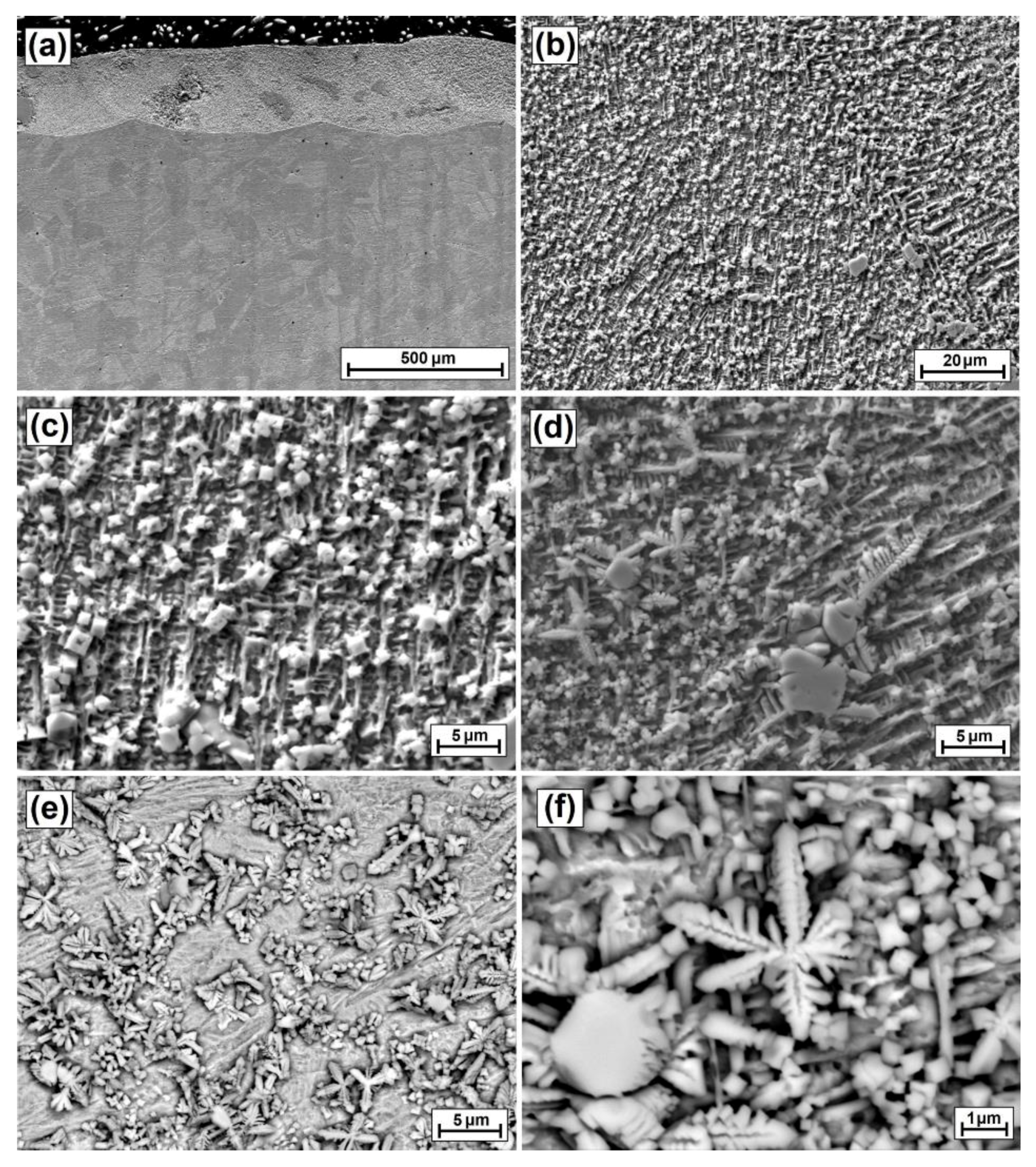 Coatings 12 00651 g015
