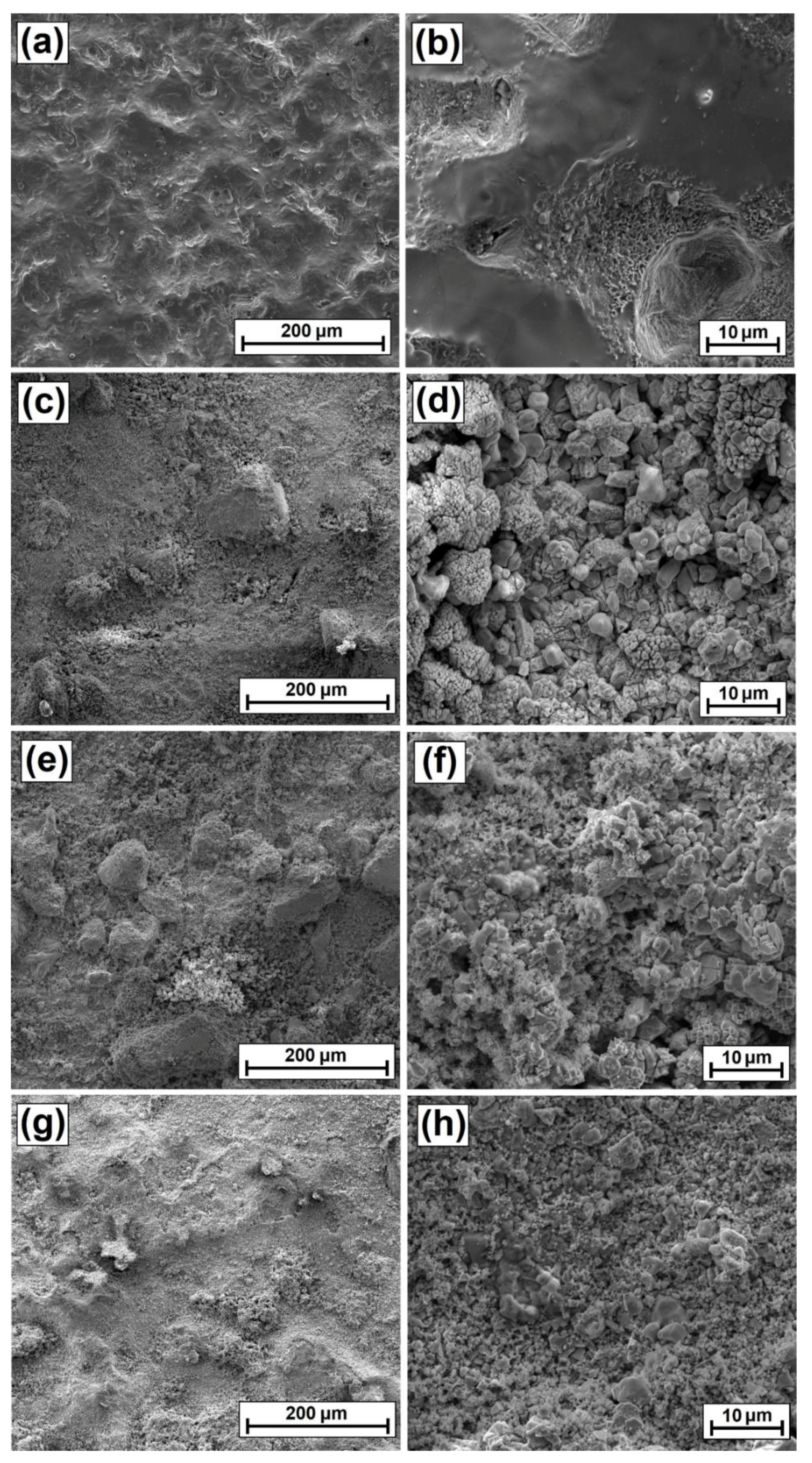Coatings 12 00651 g019
