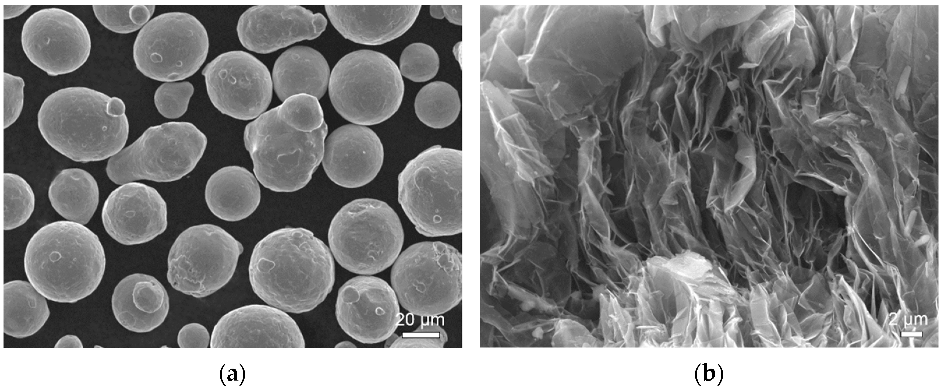 Coatings 12 00662 g001a