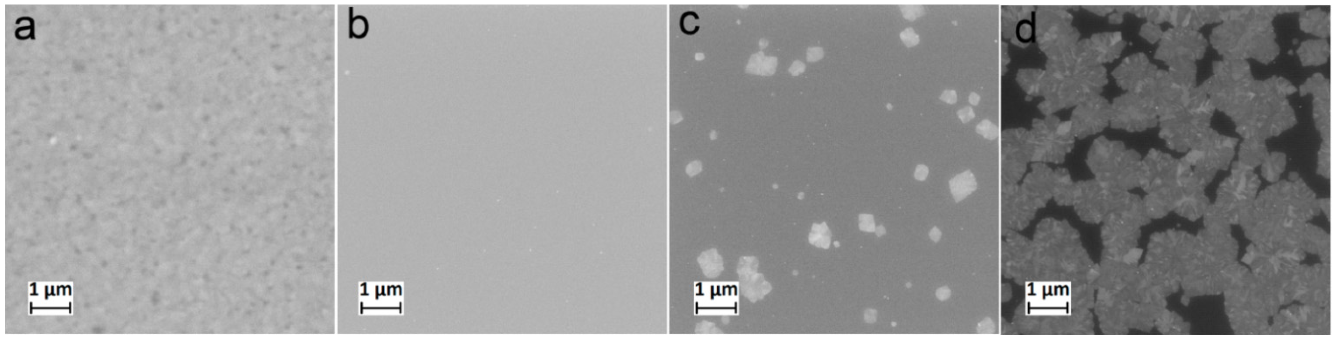 Coatings 12 00668 g002