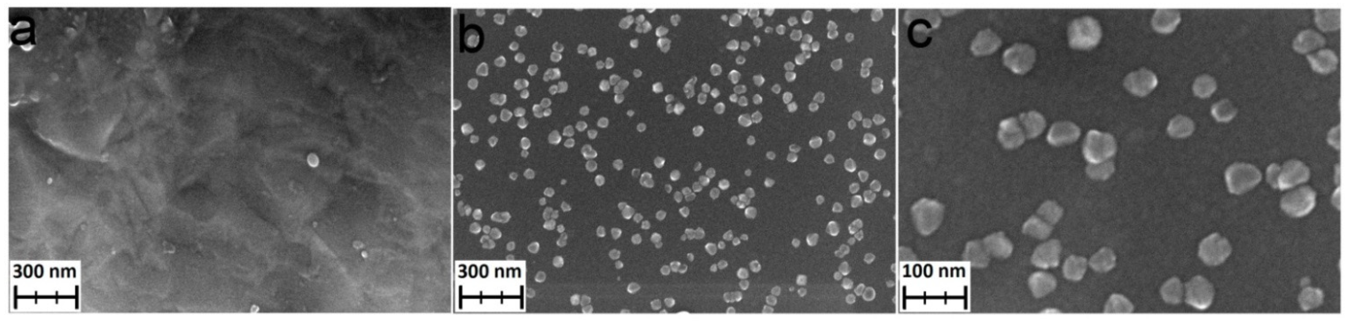 Coatings 12 00668 g005