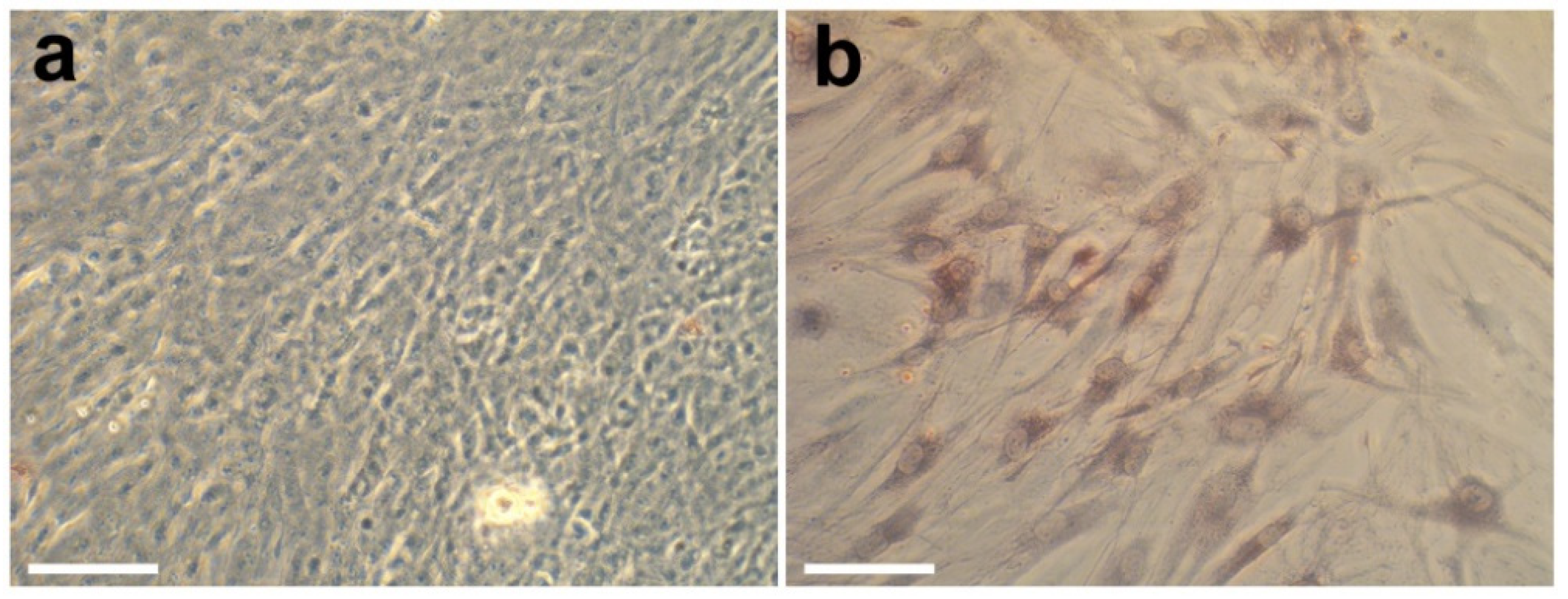 Coatings 12 00668 g012