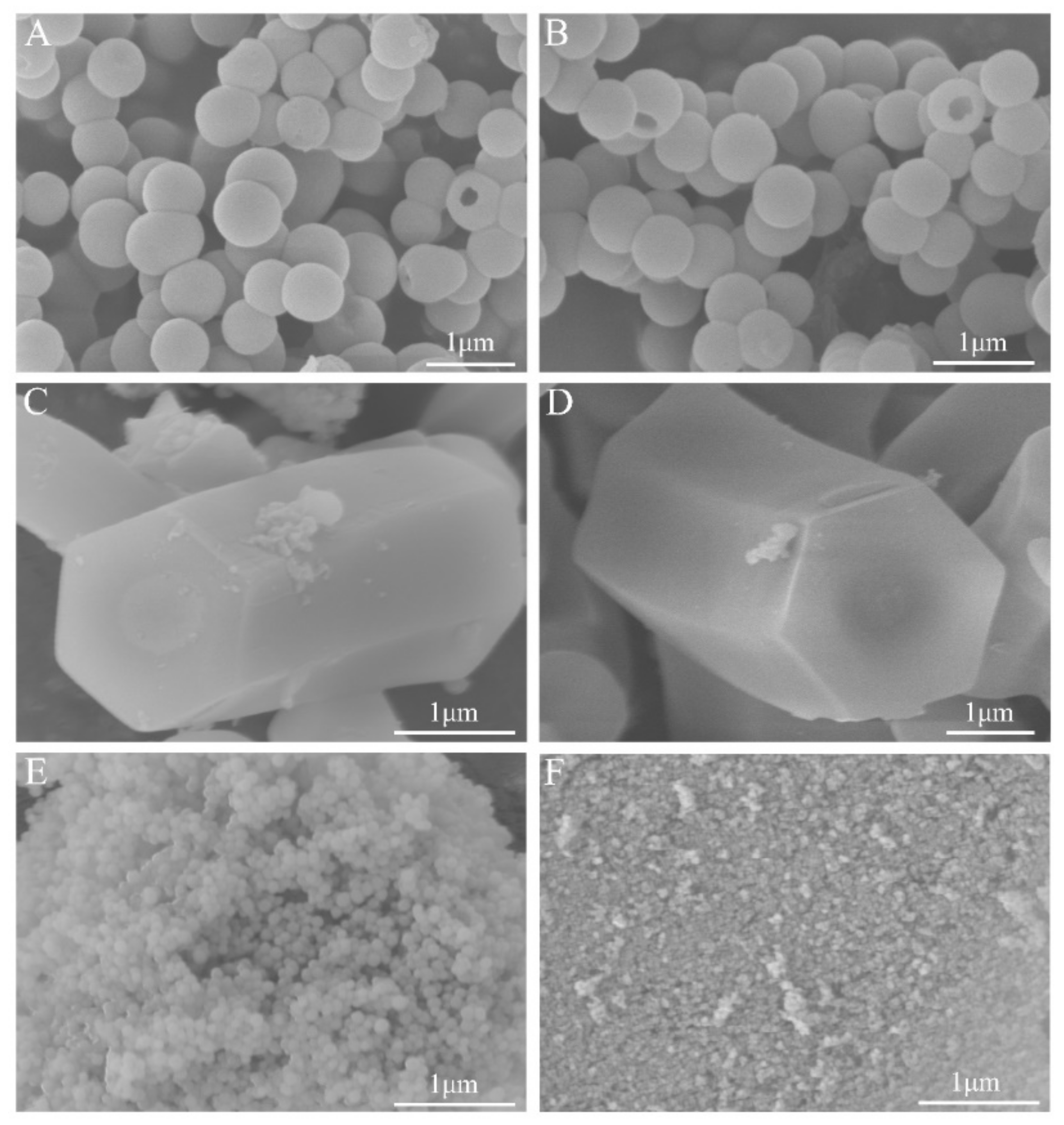 Coatings 12 00671 g002 Coatings 12 00671 g002
