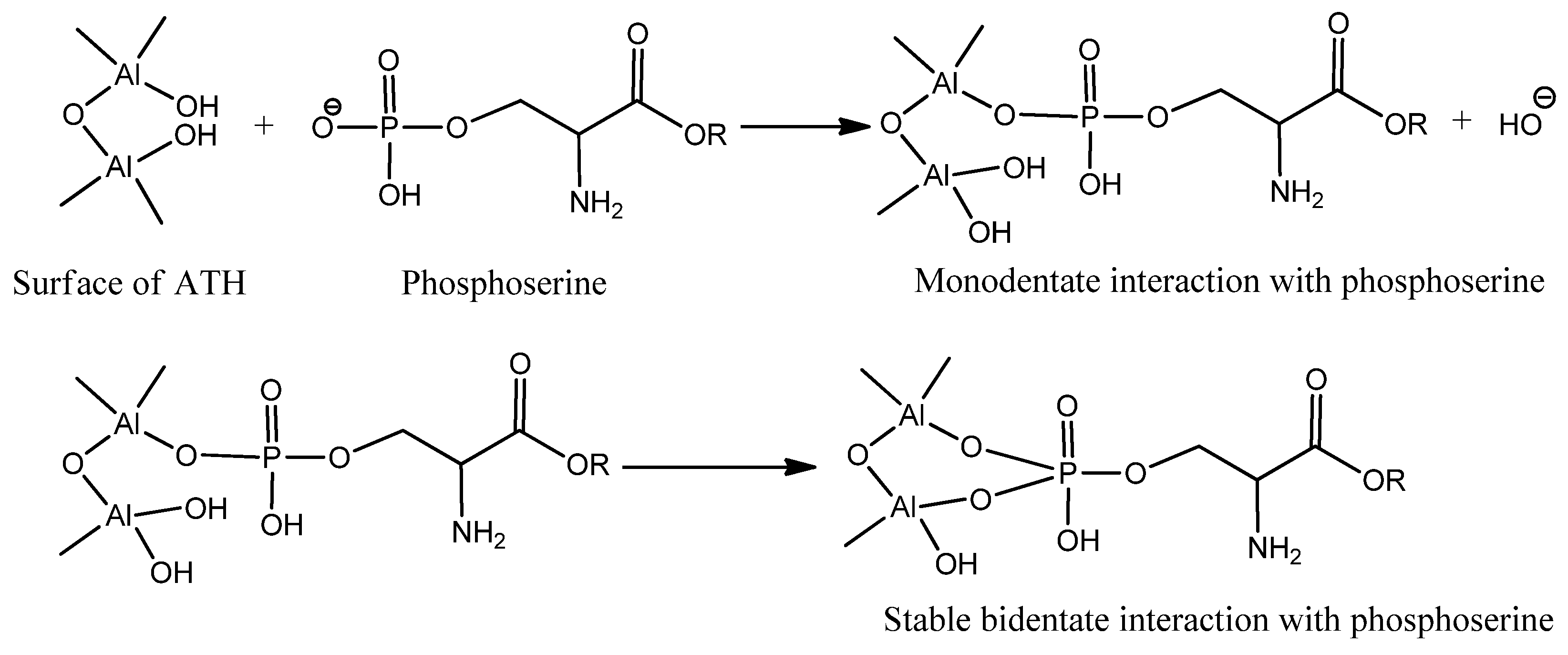 Coatings 12 00673 g003