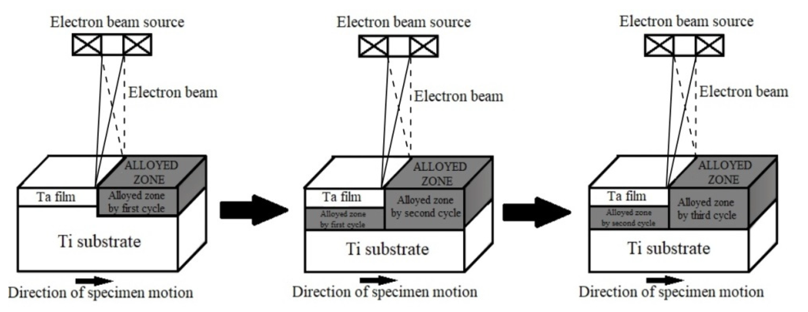 Coatings 12 00678 g001