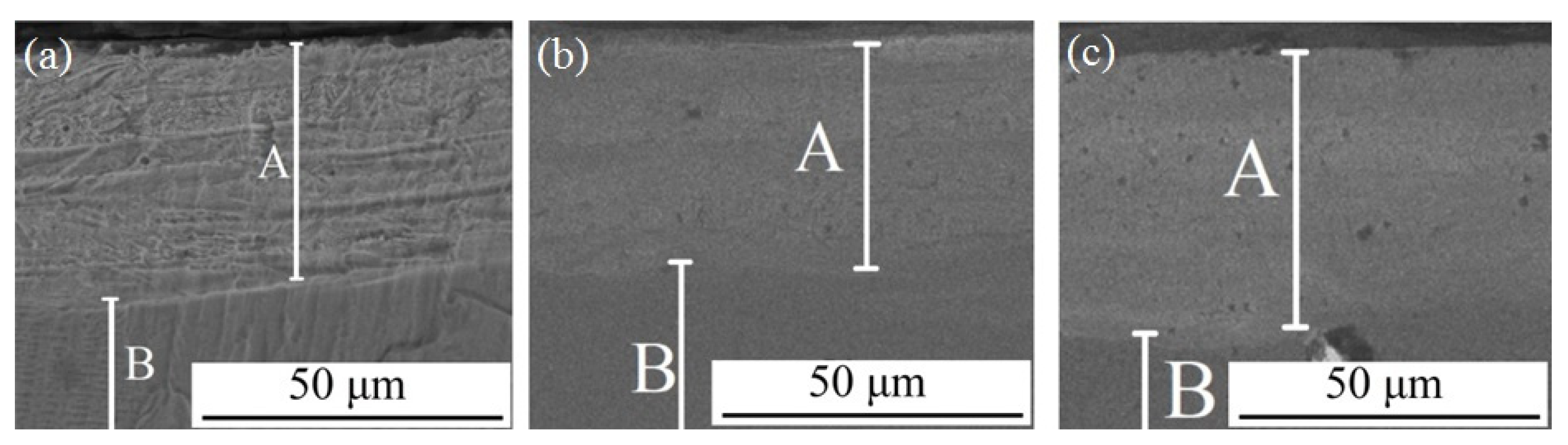 Coatings 12 00678 g002