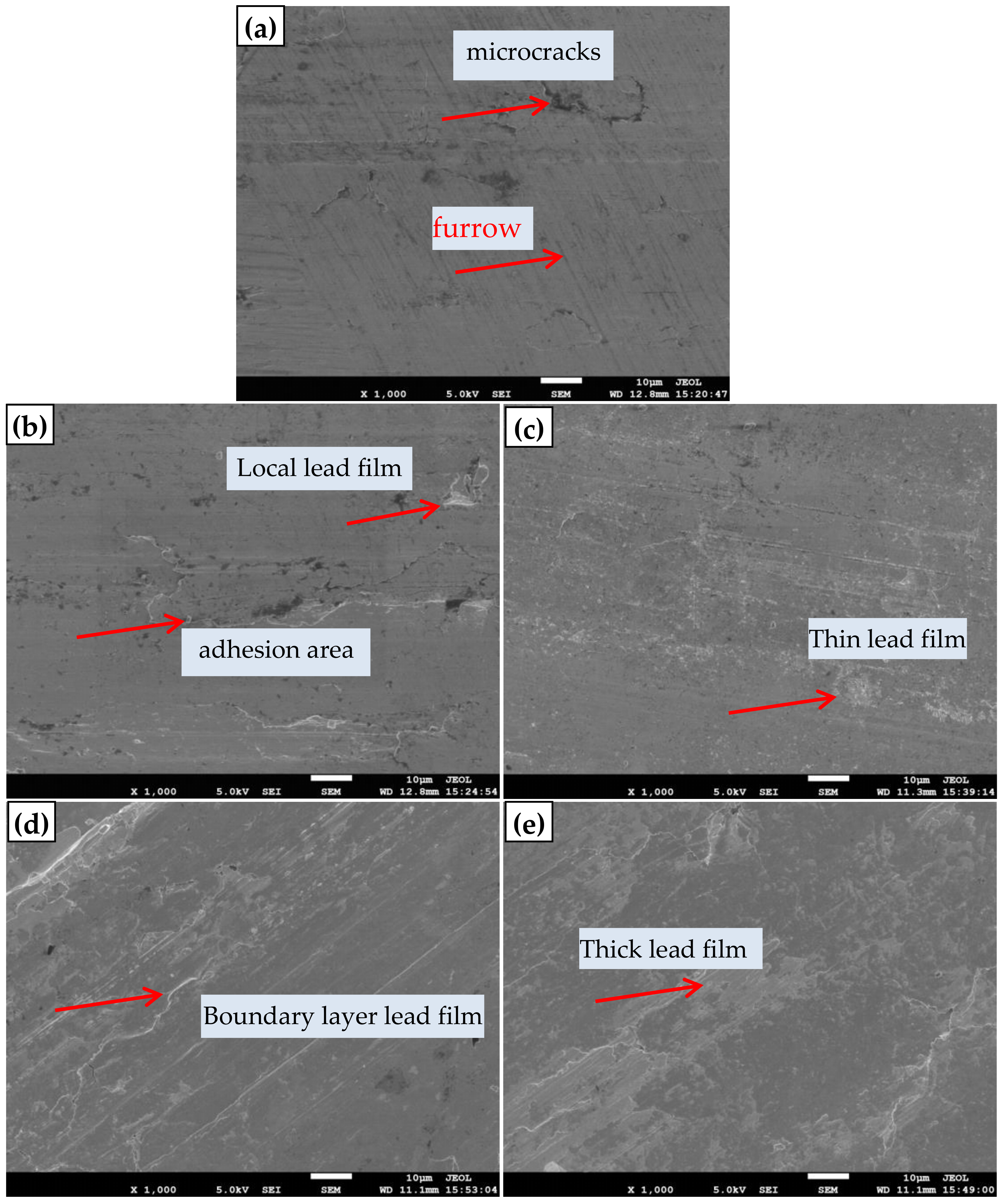 Coatings 12 00682 g005