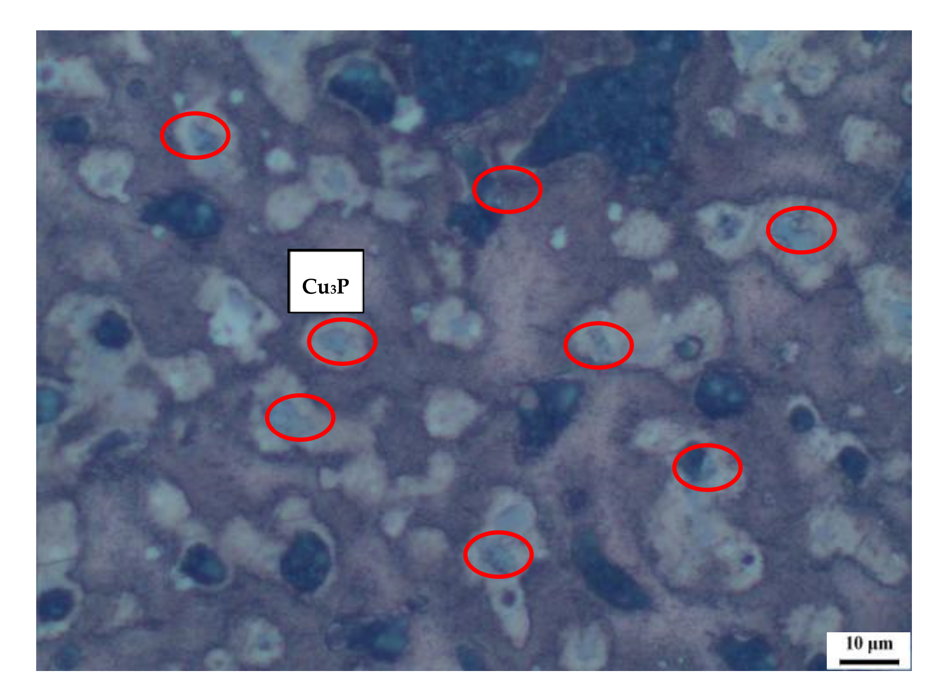 Coatings 12 00682 g009