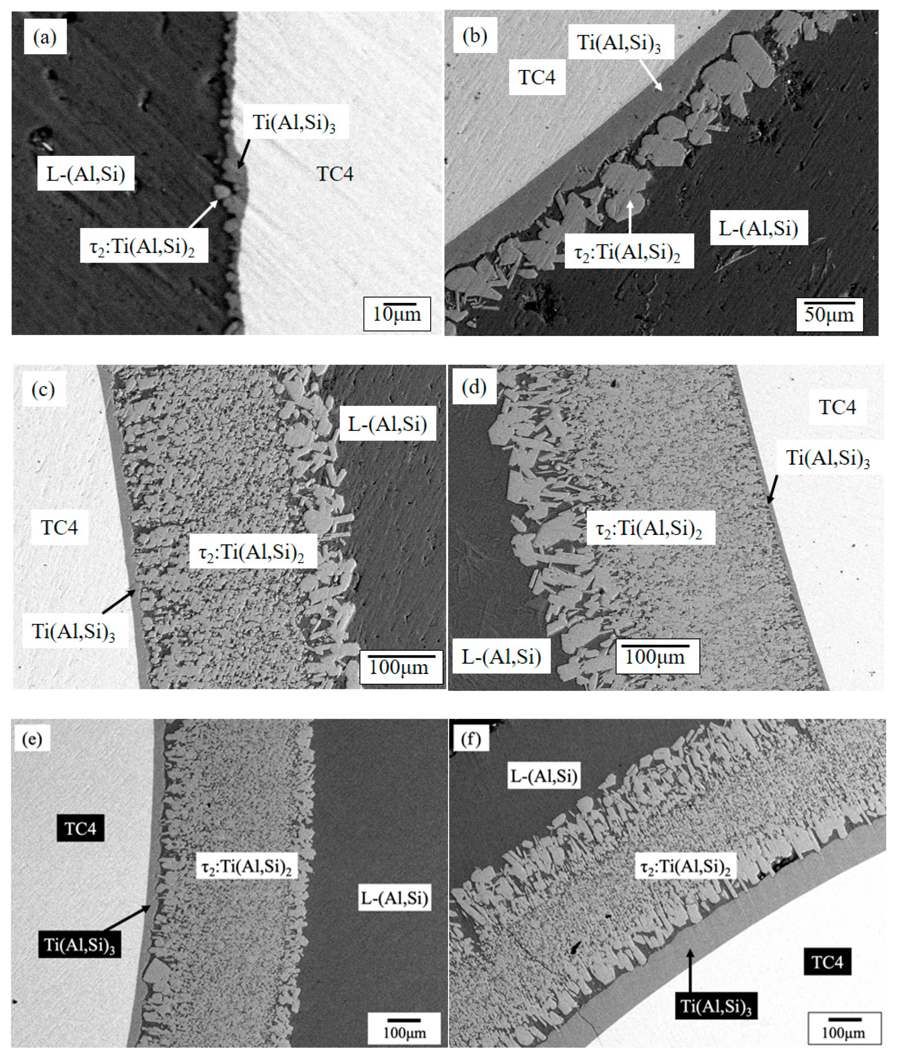 Coatings 12 00683 g001
