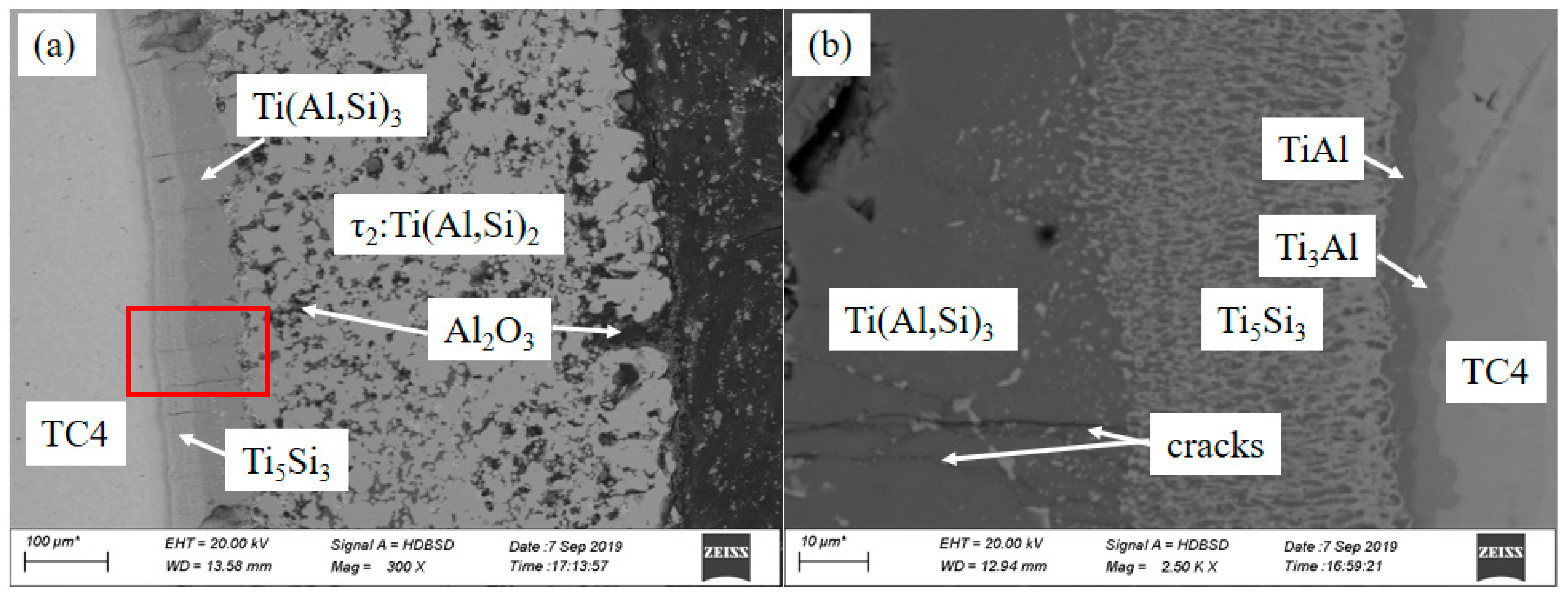 Coatings 12 00683 g005