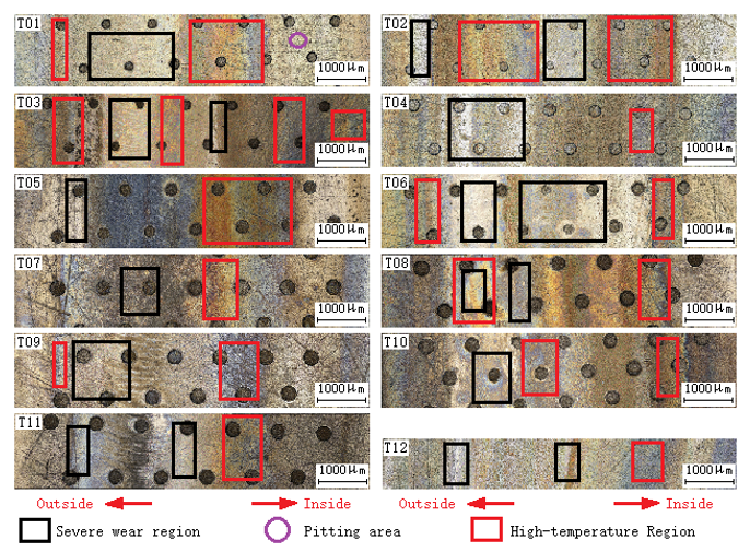 Coatings 12 00684 g003