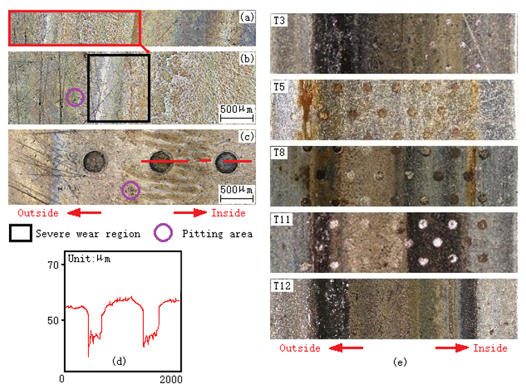 Coatings 12 00684 g007