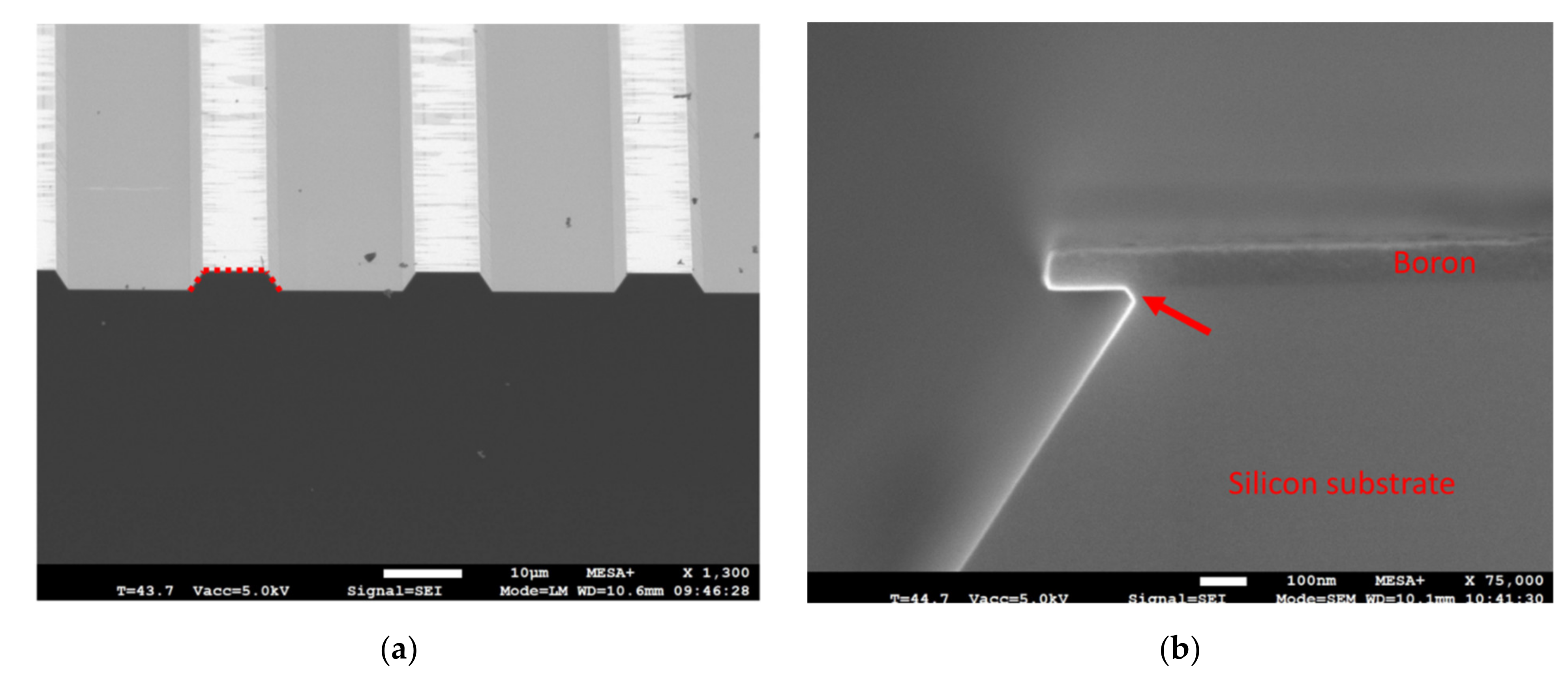 Coatings 12 00685 g005 Coatings 12 00685 g005