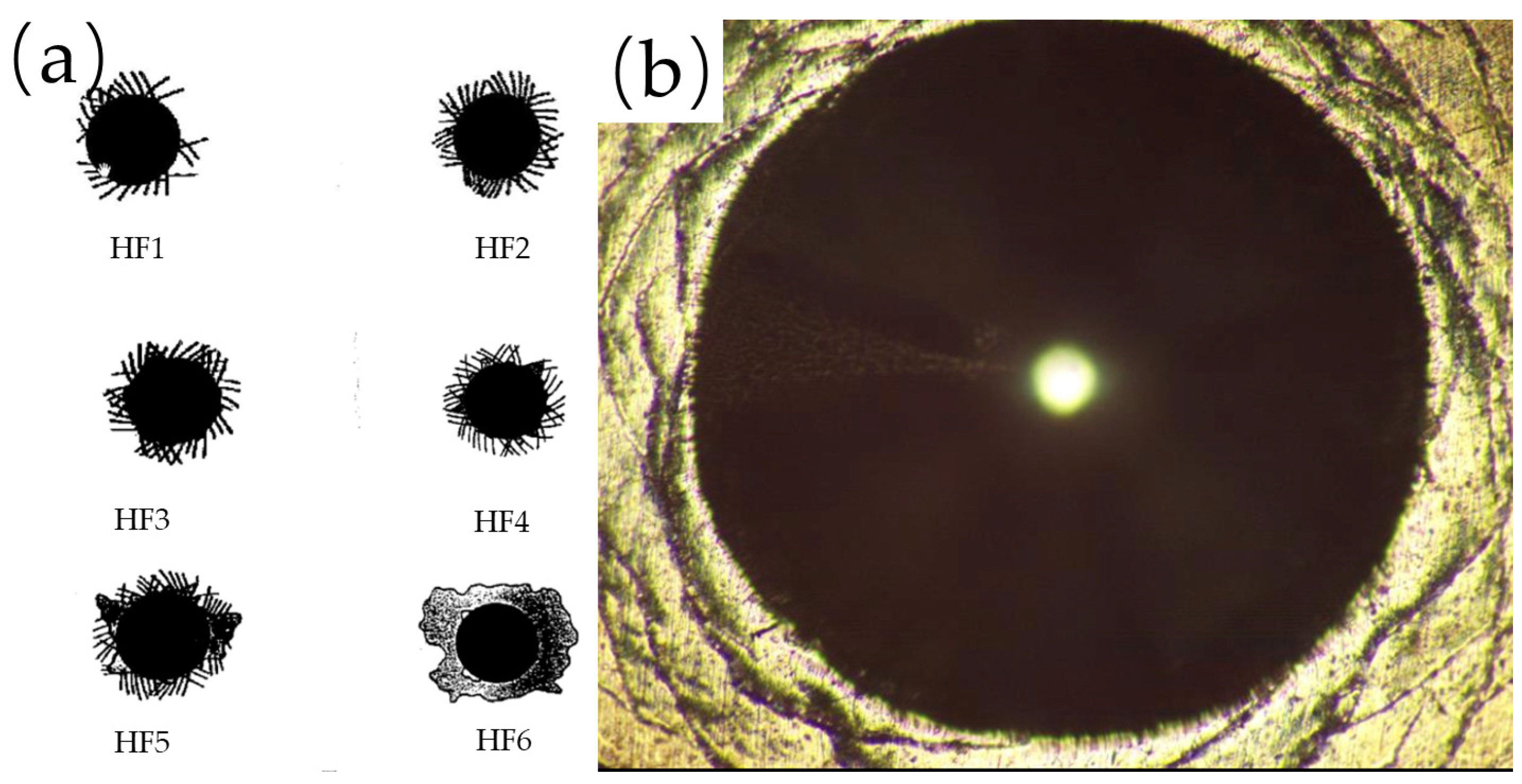 Coatings 12 00686 g005