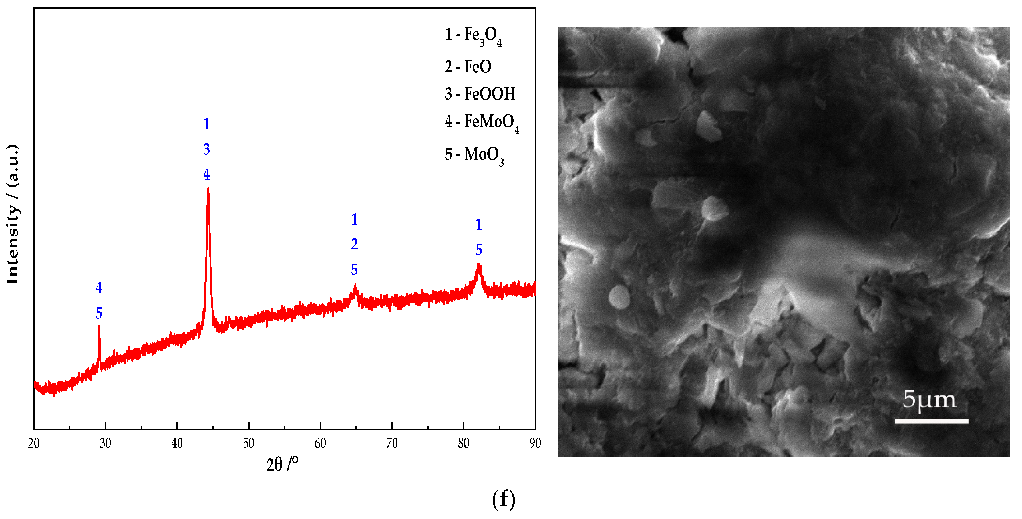 Coatings 12 00692 g010c