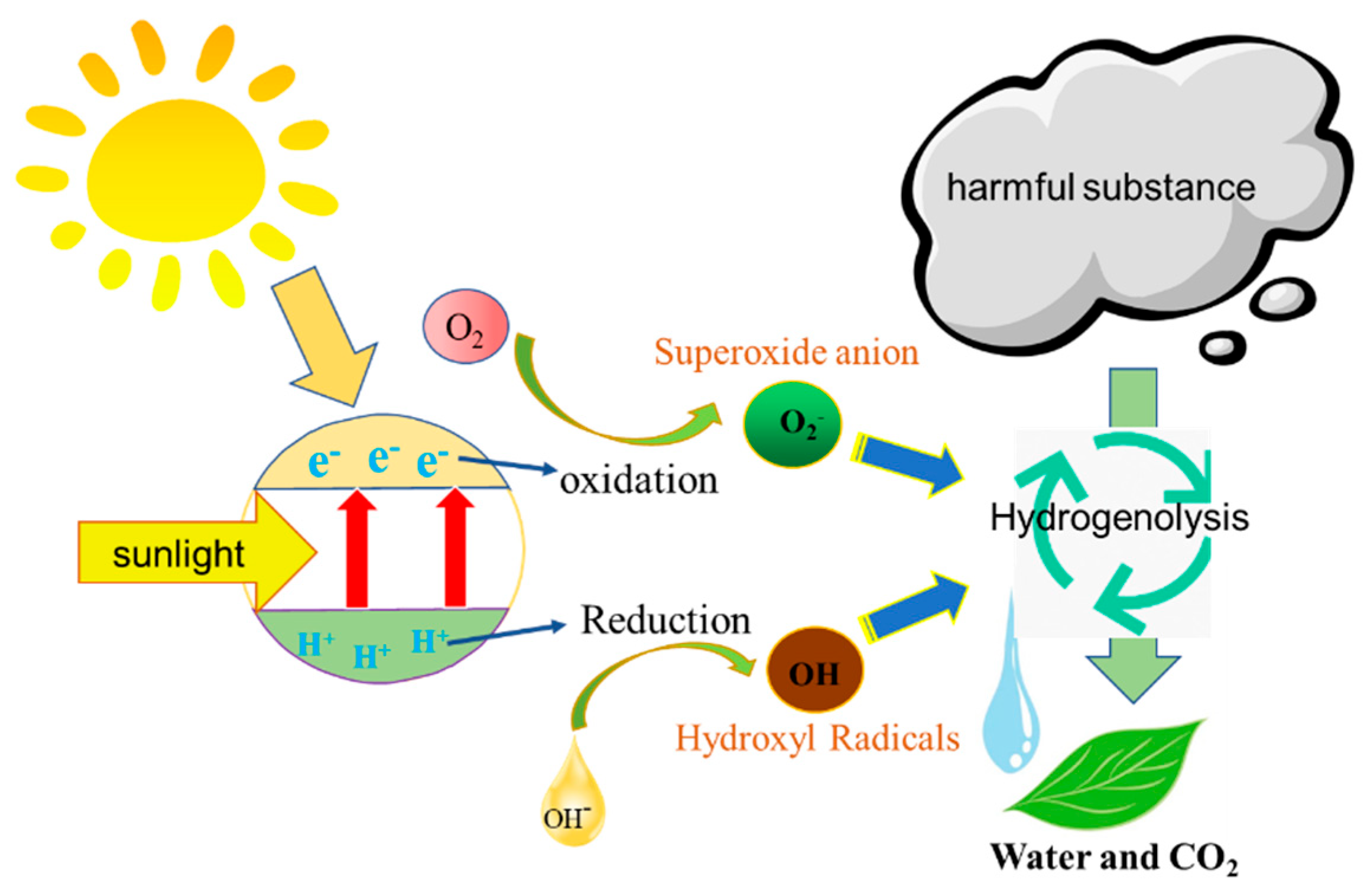 Coatings 12 00695 g006