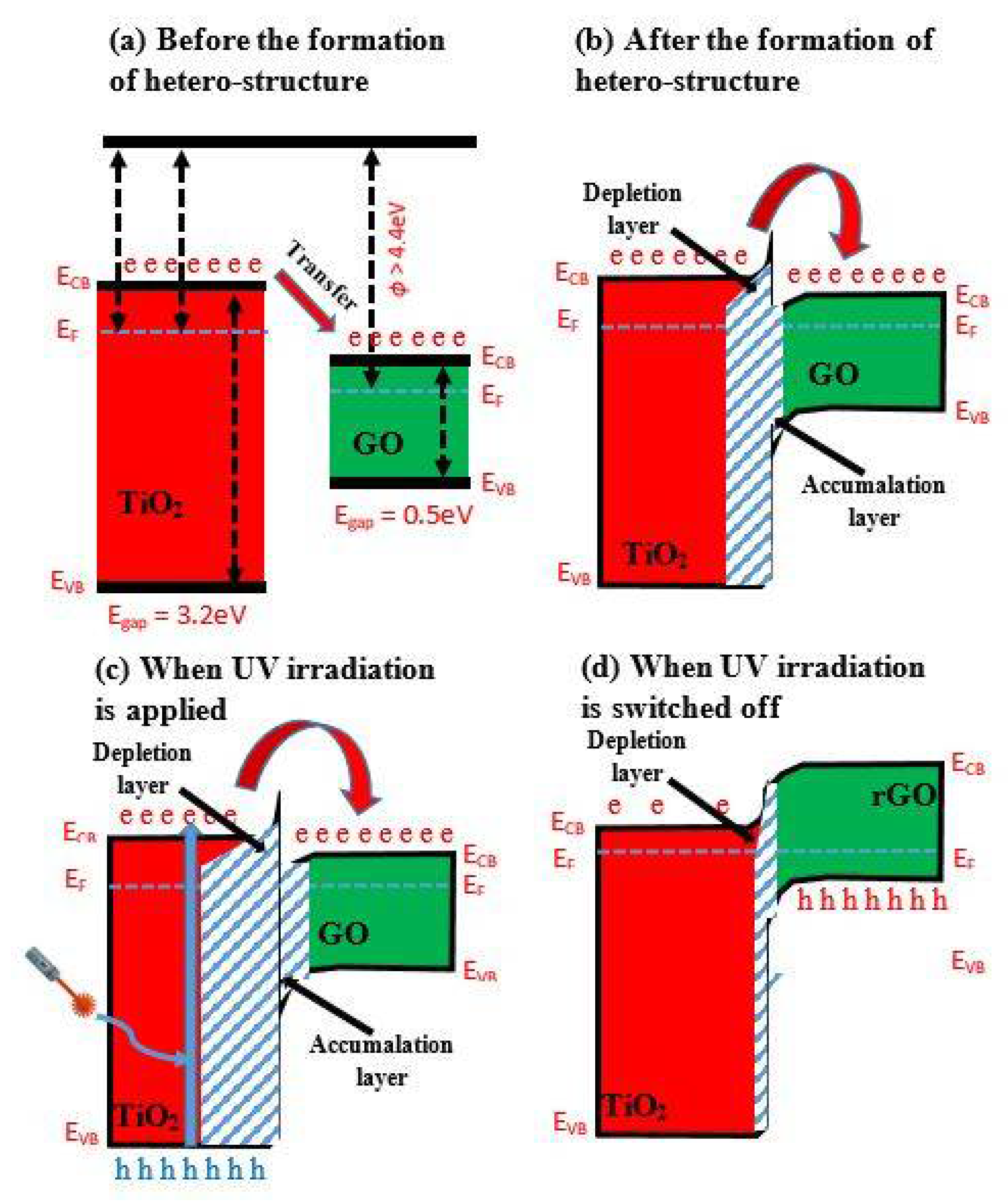 Coatings 12 00699 g002