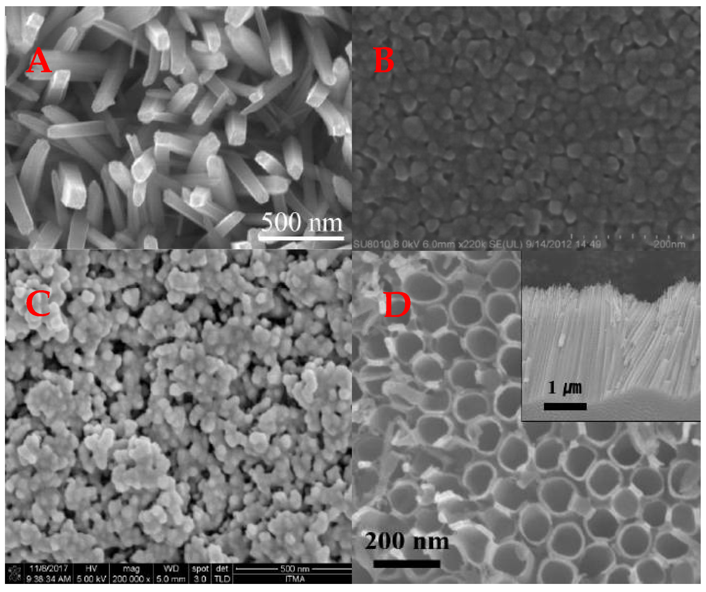 Coatings 12 00699 g005