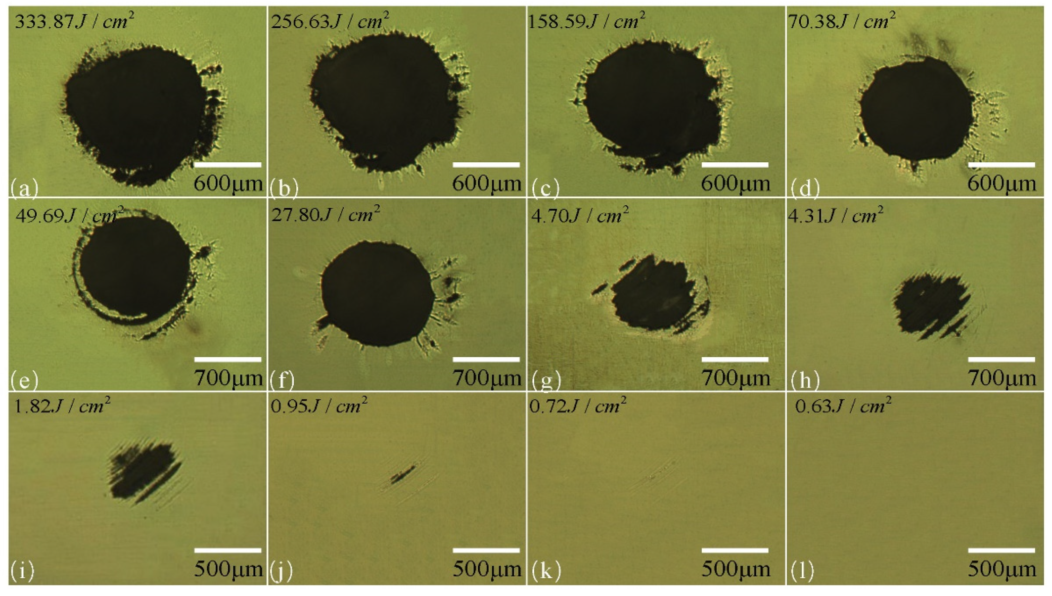 Coatings 12 00701 g003