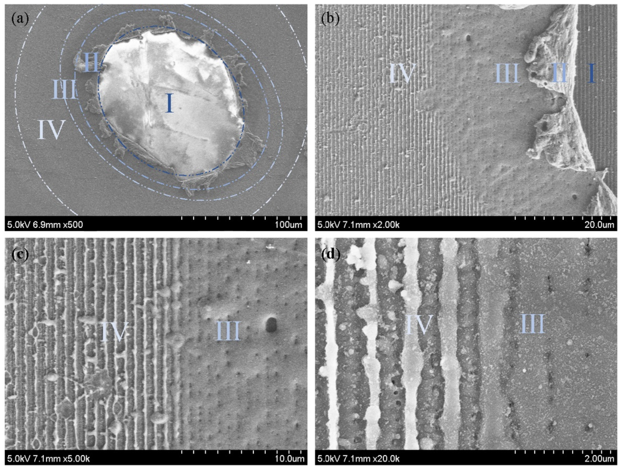 Coatings 12 00701 g005
