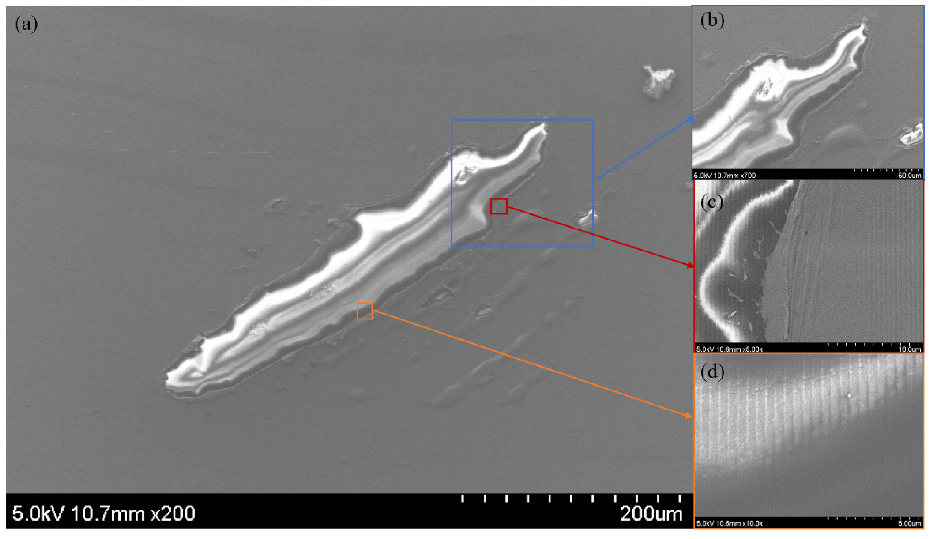 Coatings 12 00701 g006