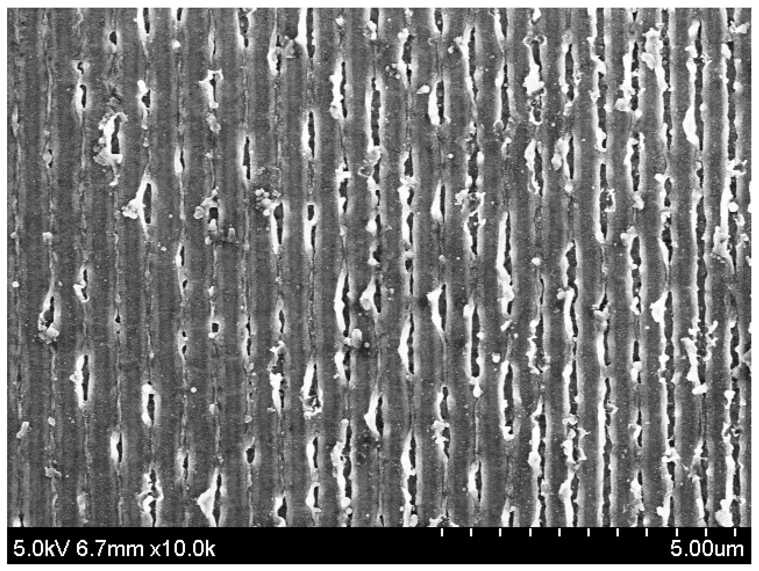 Coatings 12 00701 g007