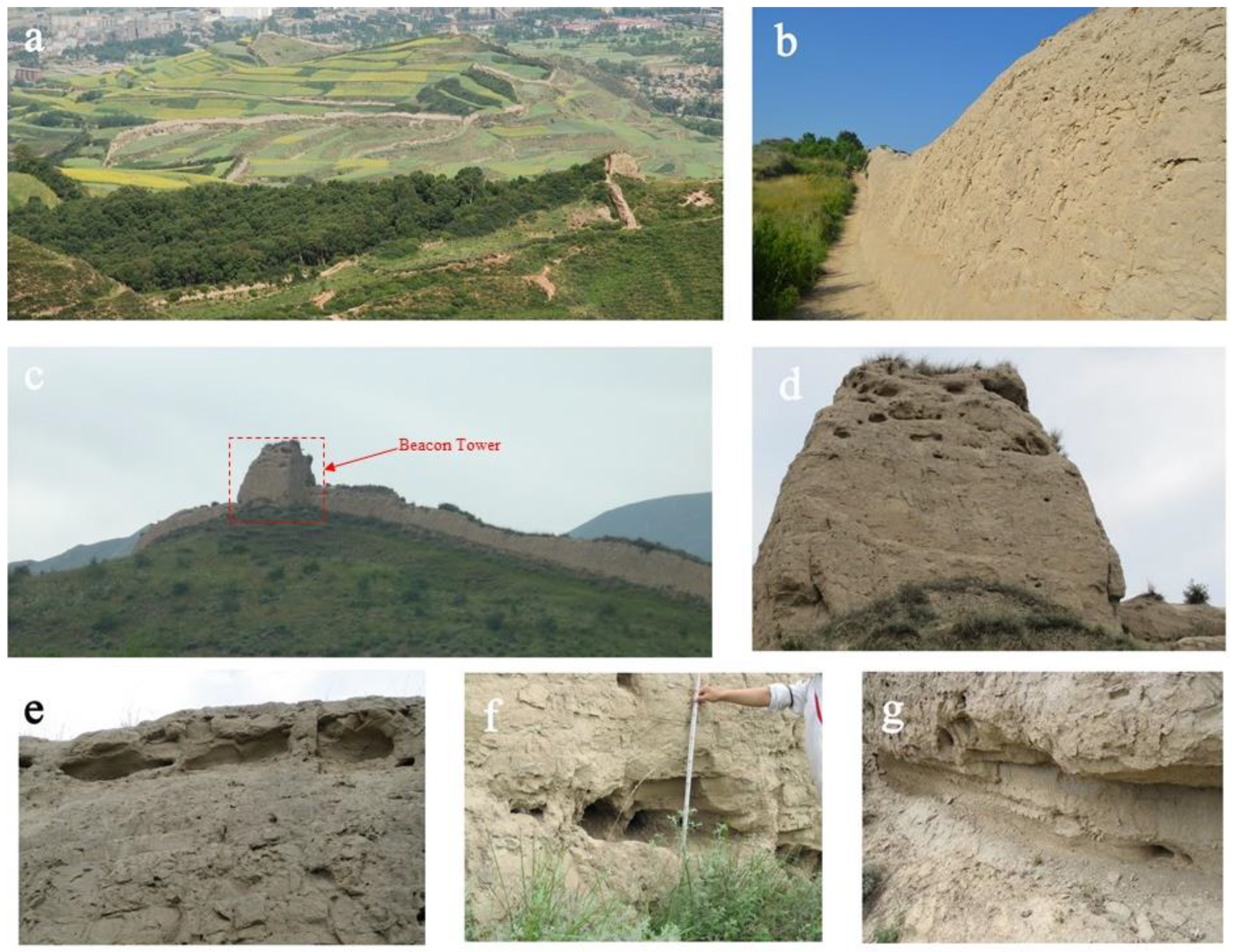 Coatings 12 00707 g004