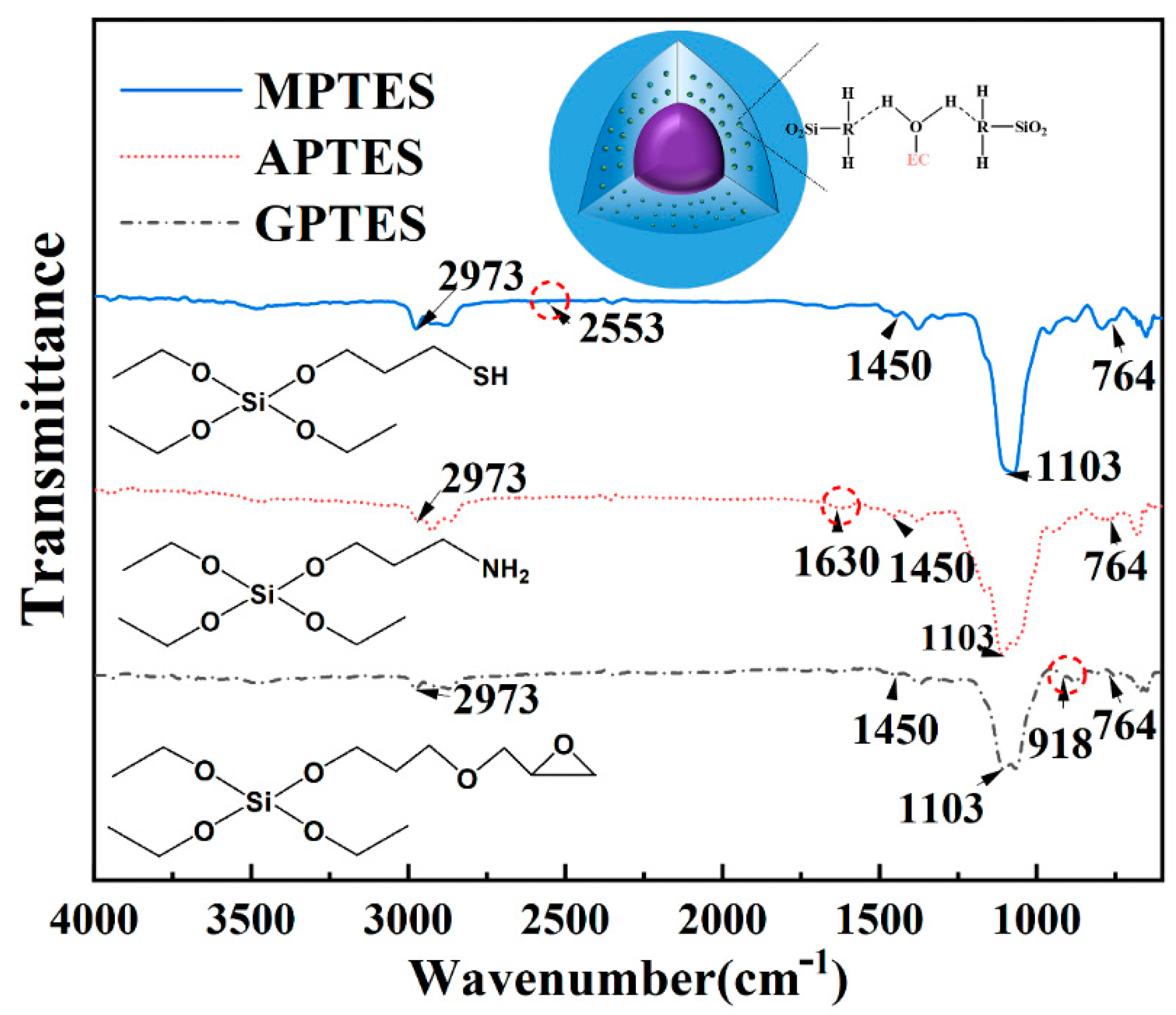 Coatings 12 00711 g003