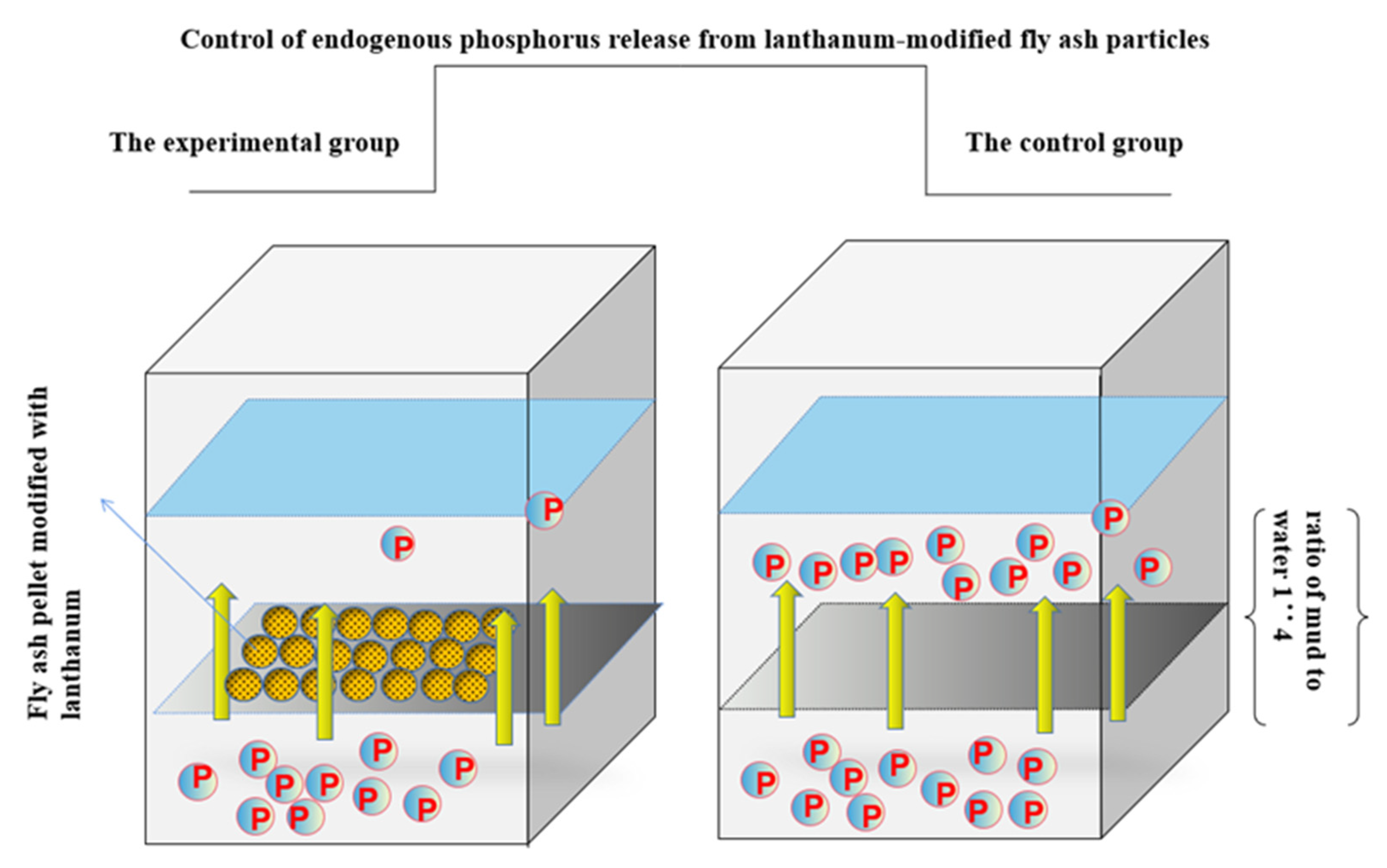 Coatings 12 00719 g002
