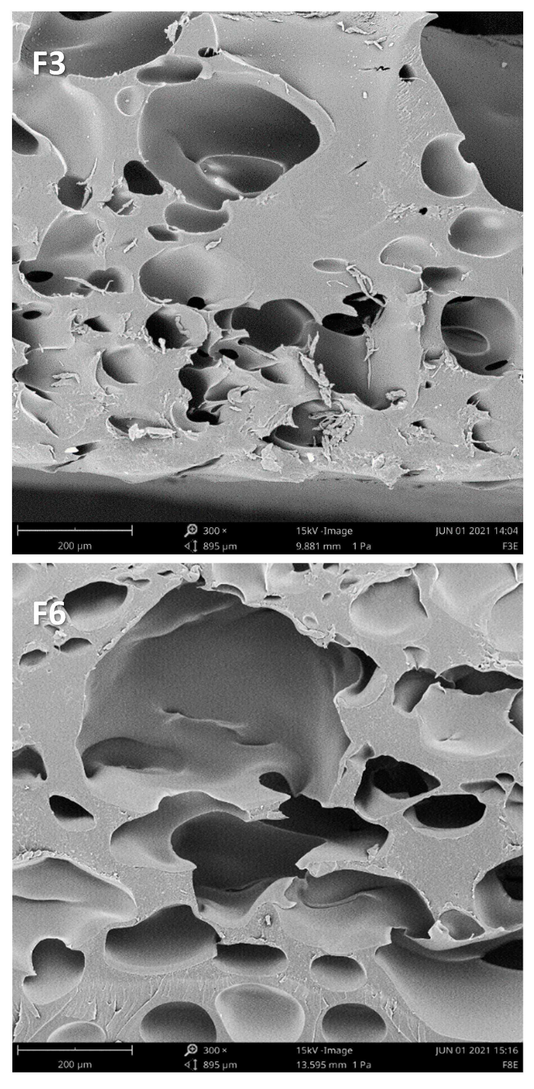 Coatings 12 00732 g001a