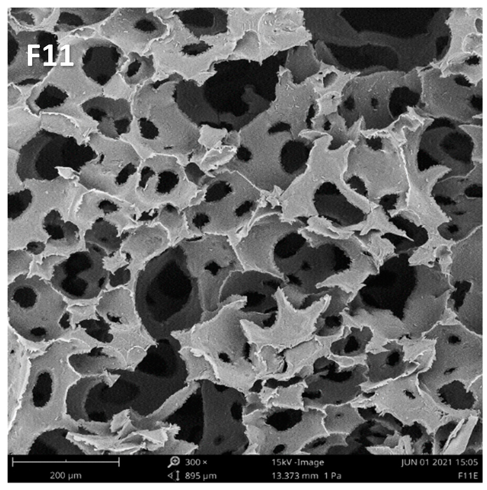 Coatings 12 00732 g001b