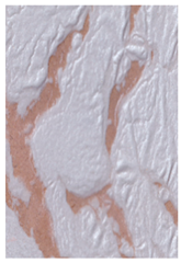 Coatings 12 00732 i001