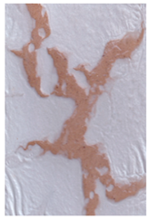 Coatings 12 00732 i002