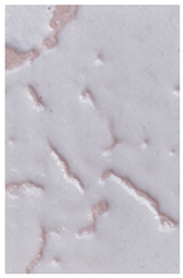 Coatings 12 00732 i004