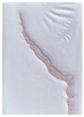 Coatings 12 00732 i009