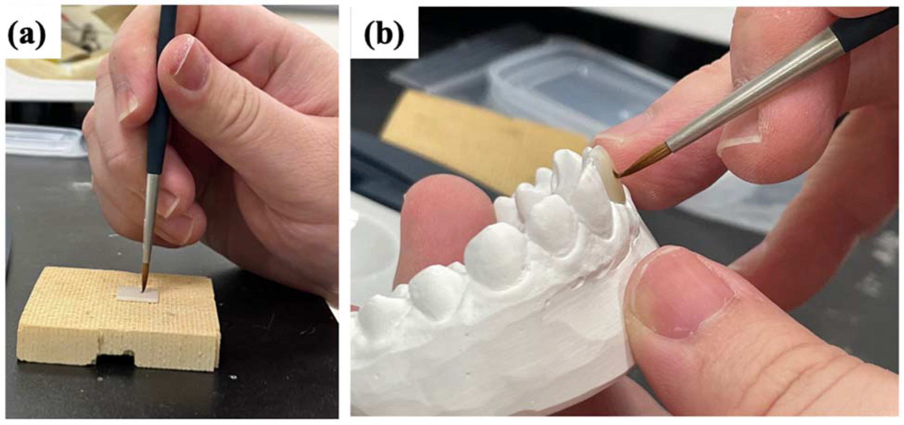 Coatings 12 00734 g001