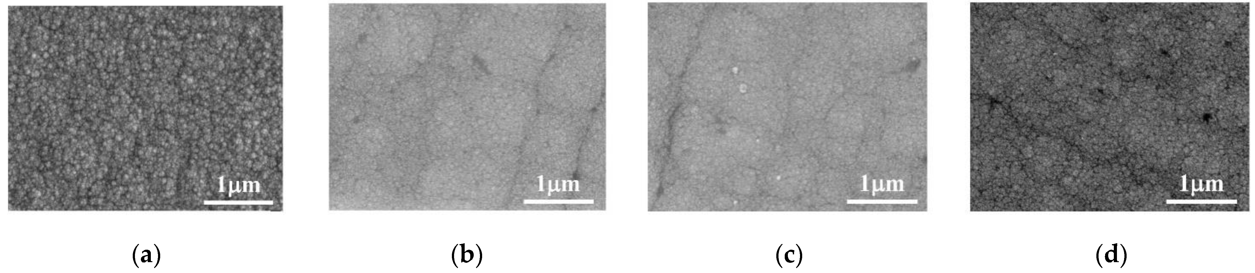 Coatings 12 00739 g002