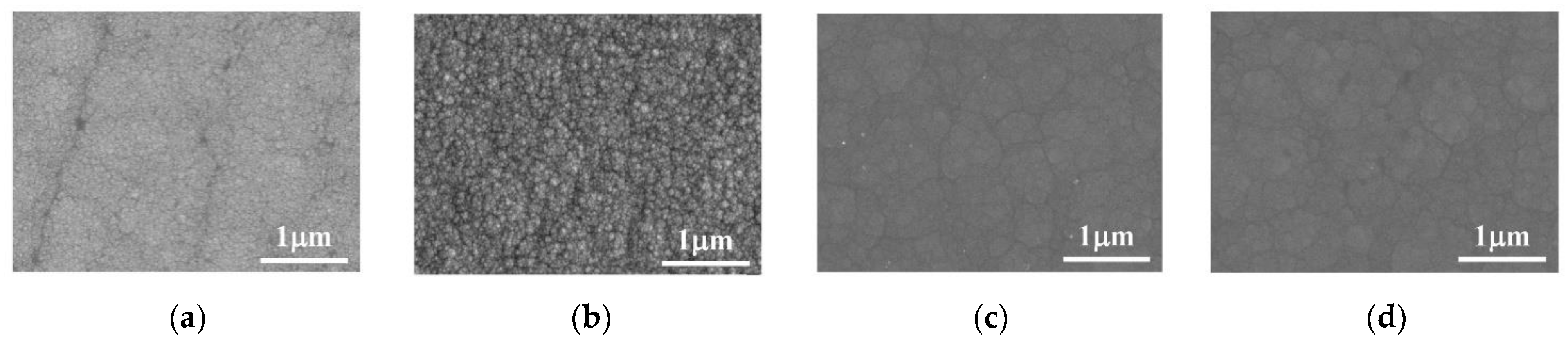 Coatings 12 00739 g010