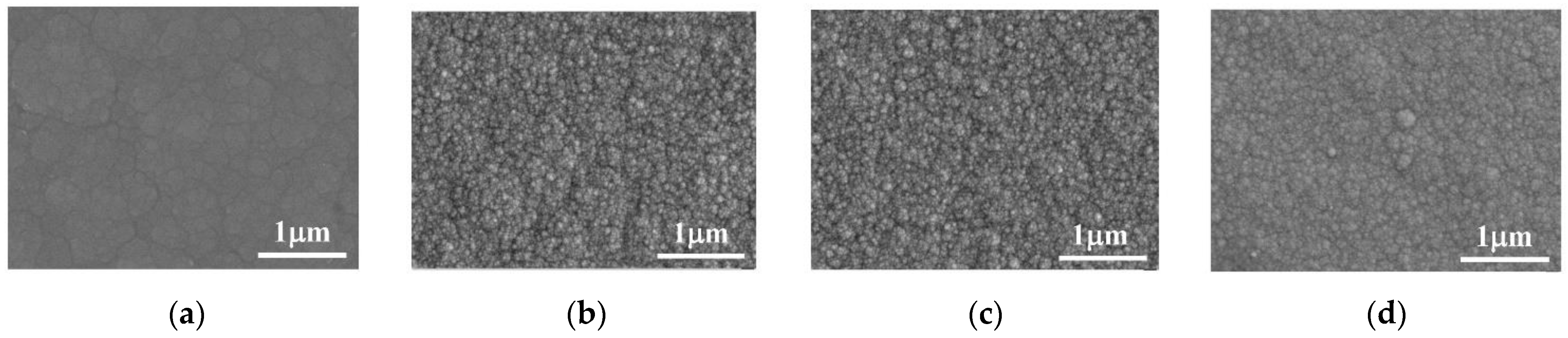 Coatings 12 00739 g014